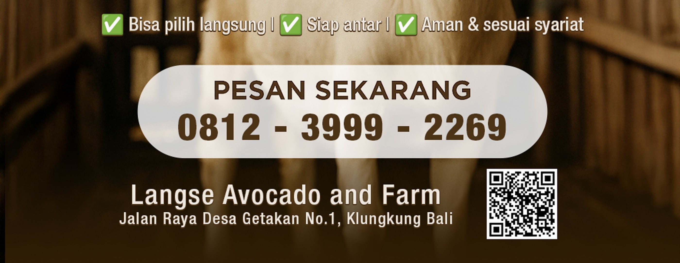 PROMO KURBAN